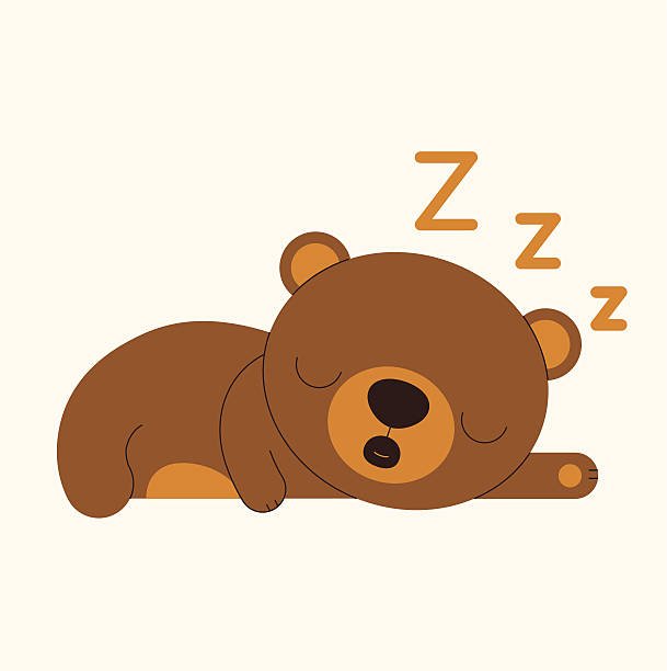 Read more about the article Sleeping Bears